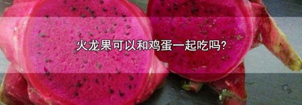 火龙果可以和鸡蛋一起吃吗?
