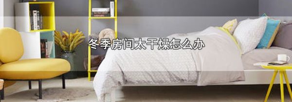 冬季房间太干燥怎么办