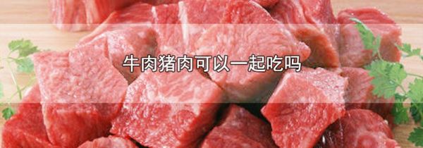 牛肉猪肉可以一起吃吗