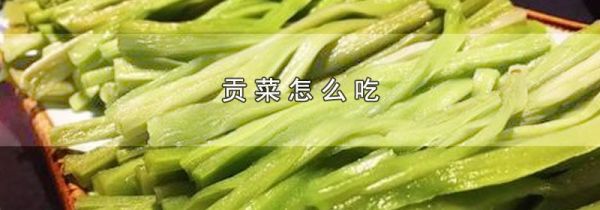 贡菜怎么吃