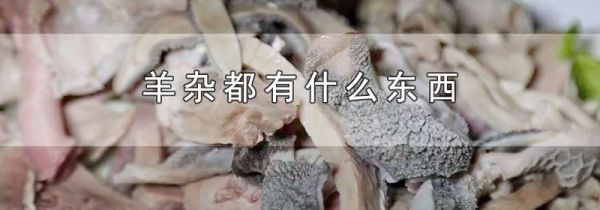 羊杂都有什么东西