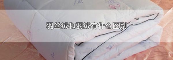 羽丝绒和羽绒有什么区别