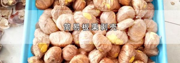简易板栗剥壳