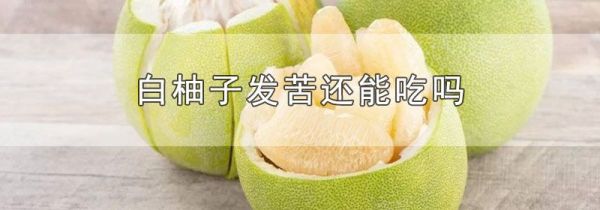 白柚子发苦还能吃吗