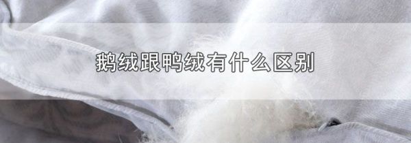 鹅绒跟鸭绒有什么区别