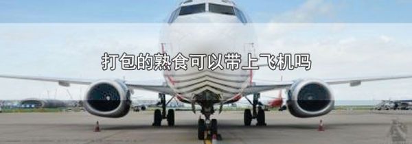 打包的熟食可以带上飞机吗