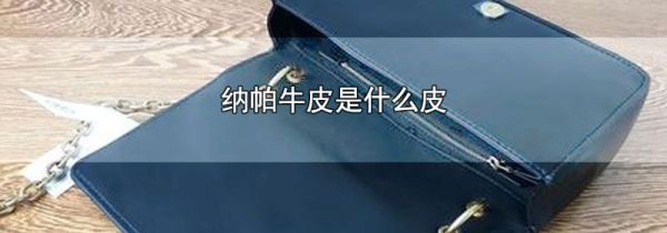 纳帕牛皮是什么皮