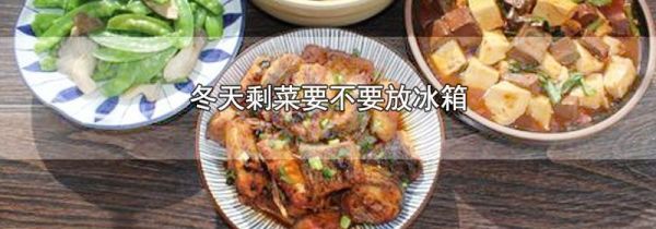 冬天剩菜要不要放冰箱