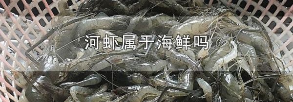 河虾属于海鲜吗