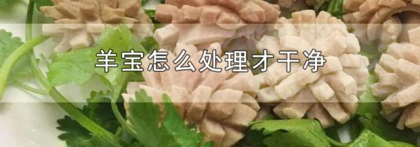 羊宝怎么处理才干净
