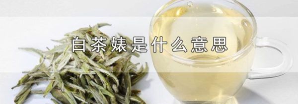 白茶婊是什么意思