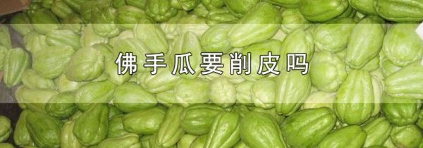 佛手瓜要削皮吗