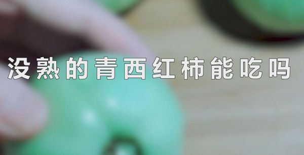 没熟的青西红柿能吃吗