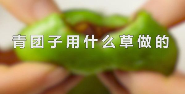 青团子用什么草做的