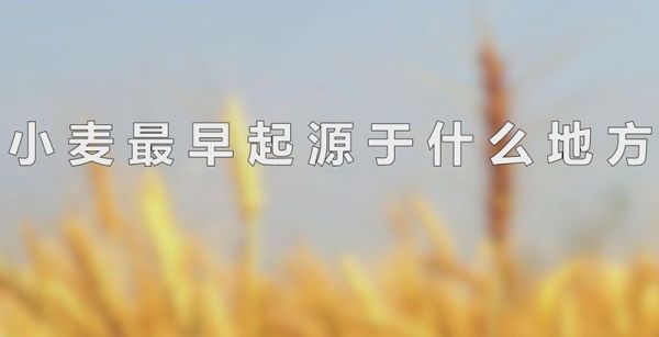 小麦最早起源于什么地方
