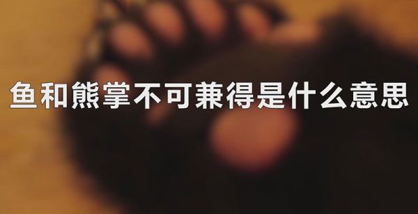 鱼和熊掌不可兼得是什么意思