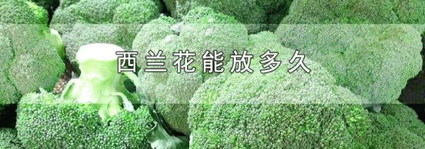 西兰花能放多久