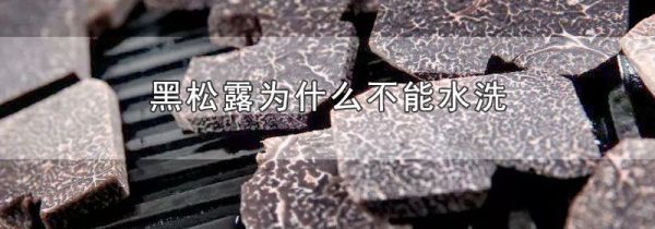黑松露为什么不能水洗