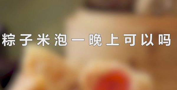 粽子米泡一晚上可以吗