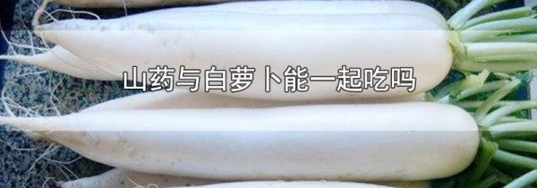 山药与白萝卜能一起吃吗