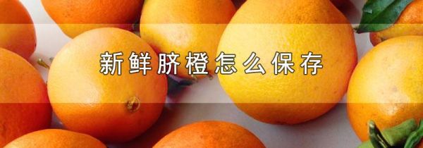 新鲜脐橙怎么保存