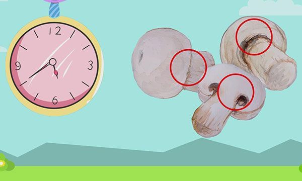 口蘑菌褶黑色能吃吗