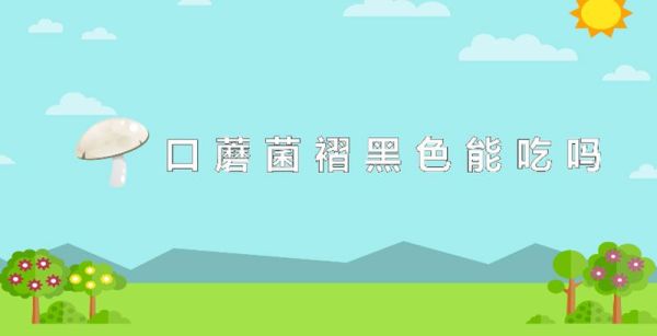 口蘑菌褶黑色能吃吗
