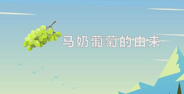 马奶葡萄的由来