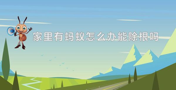 家里有蚂蚁怎么办能除根吗