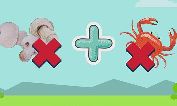 口蘑不能和什么一起吃