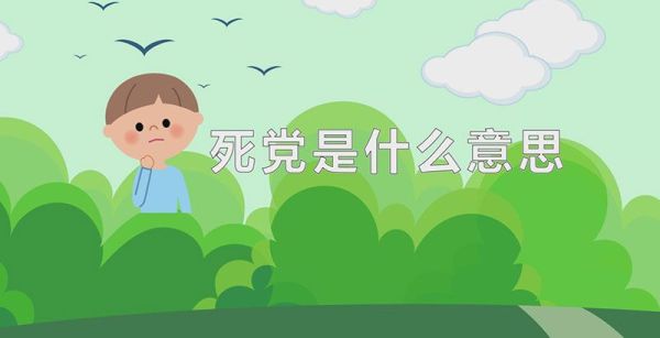 死党是什么意思