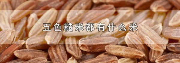五色糙米都有什么米