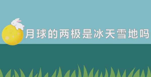 月球的两极是冰天雪地吗