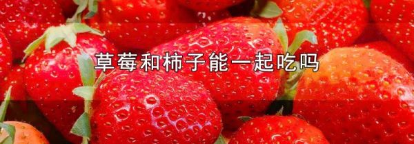 草莓和柿子能一起吃吗