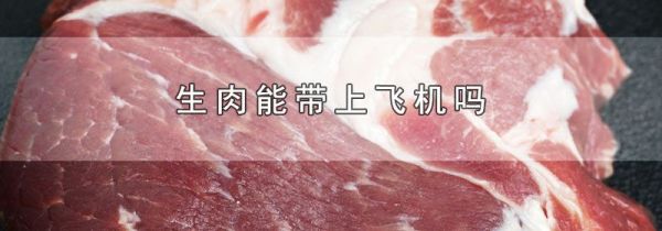 生肉能带上飞机吗