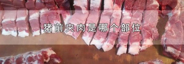 猪前夹肉是哪个部位