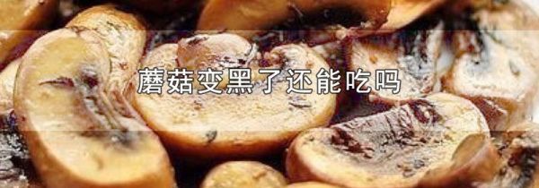 蘑菇变黑了还能吃吗