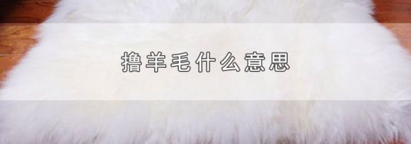 撸羊毛什么意思