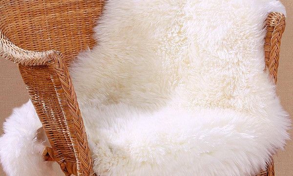 撸羊毛什么意思