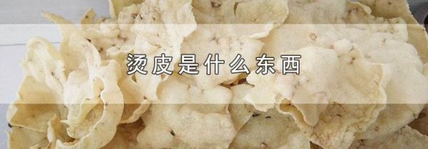 烫皮是什么东西