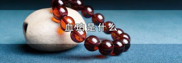 血珀是什么