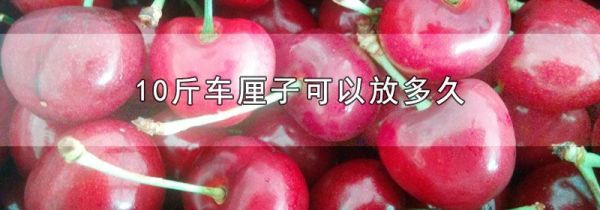 10斤车厘子可以放多久
