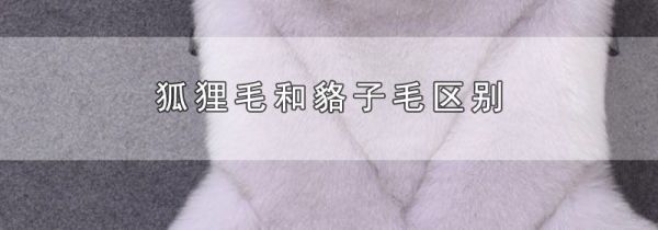 狐狸毛和貉子毛区别