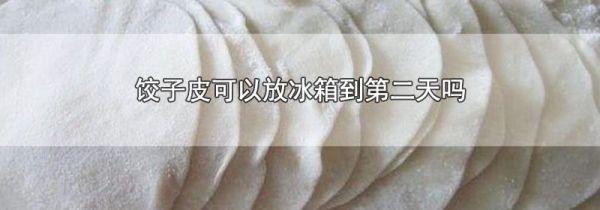 饺子皮可以放冰箱到第二天吗