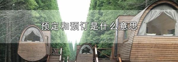 预定和预订是什么意思