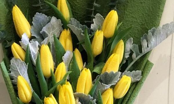 预定和预订是什么意思