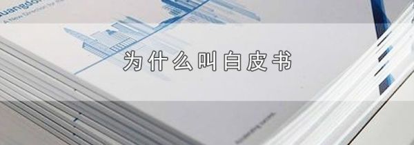 为什么叫白皮书