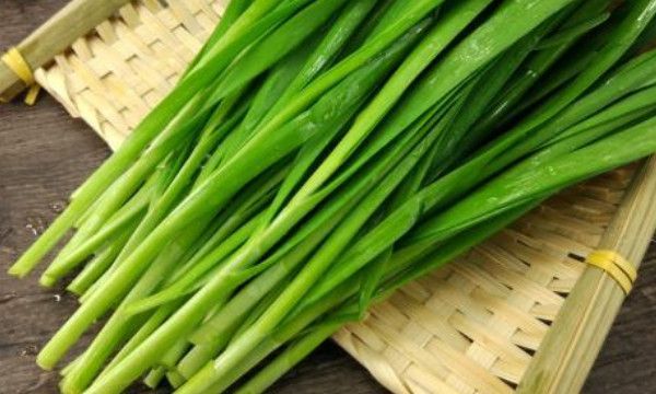 网上说的割韭菜什么意思