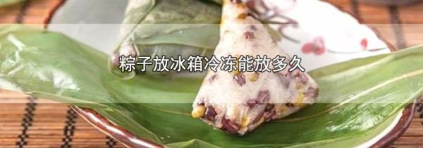 粽子放冰箱冷冻能放多久