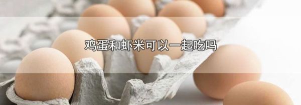 鸡蛋和虾米可以一起吃吗